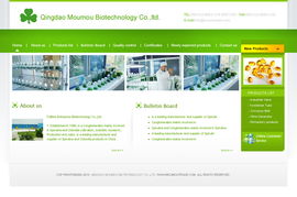 青島網(wǎng)景 做客戶信賴的企業(yè)，專業(yè)打造美工模板與網(wǎng)站建設